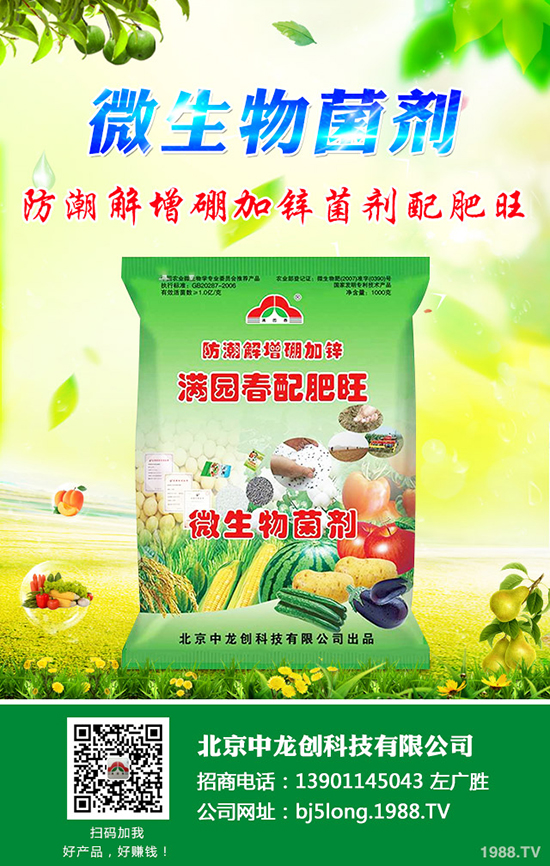 ����ʲô�r(sh��)��Nֲ���������ٵ�����Ҫ�c(di��n)����Щ��