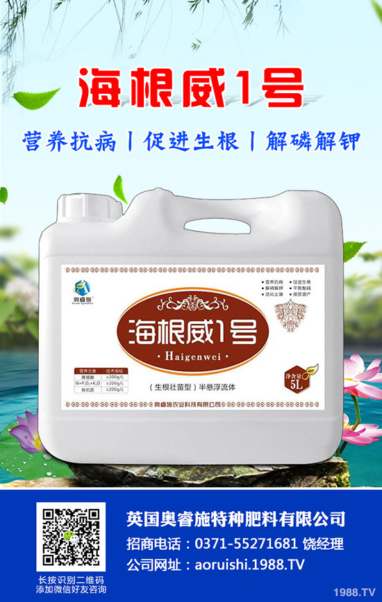 如何種植羊角蜜才能高產(chǎn)？羊角蜜種植時間和種植方法