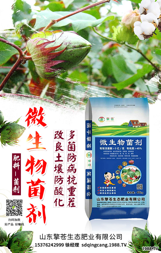     ����(ji��)���R��2020��1�������ܷ�ͦ�r�����������߄��A�y��