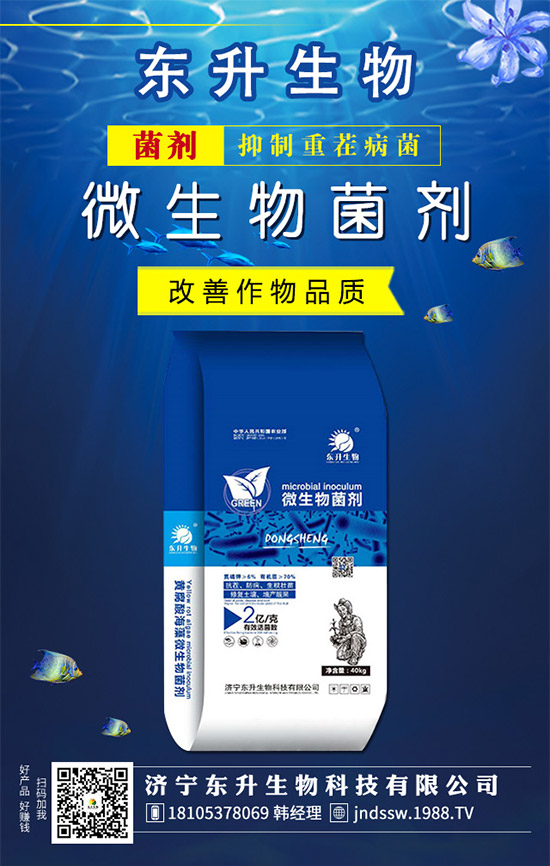 石榴樹什么時候嫁接好？石榴樹嫁接方法有哪些呢？