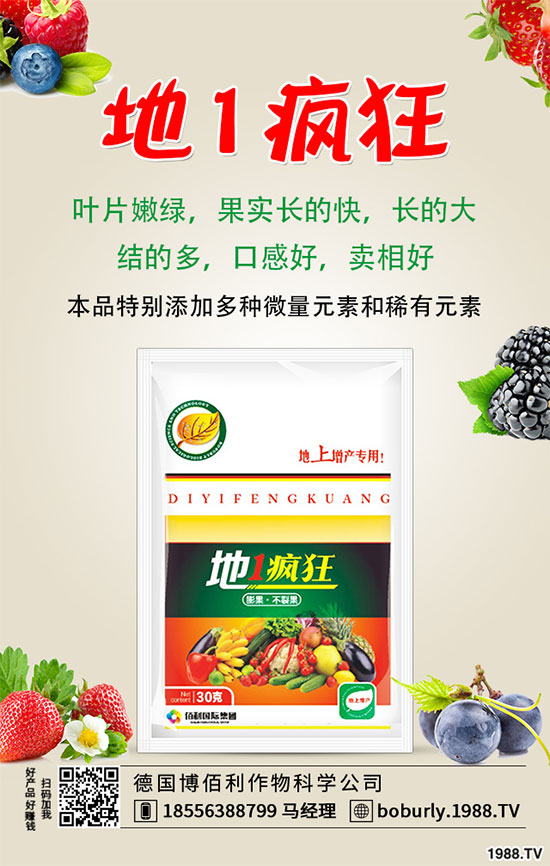 �����仨�����ʲôԭ������������������ʩ��