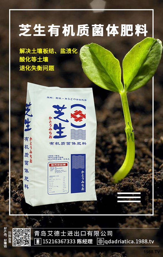 櫻桃有哪些營養(yǎng)價值，櫻桃的功效與作用是什么，如何選購？