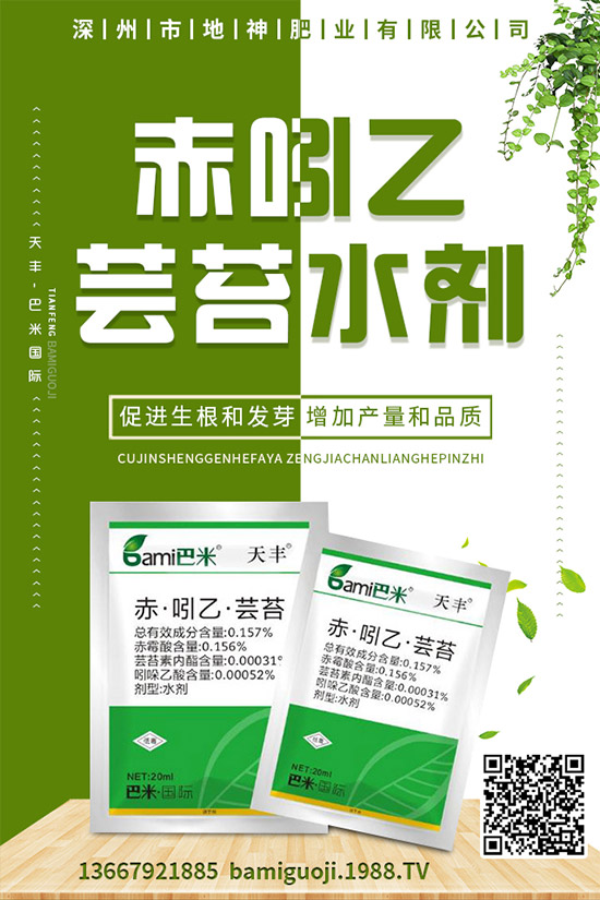 �t���ĠI�B(y��ng)�rֵ����Щ���t���Ĺ�Ч�����cʹ�ý��ɣ�