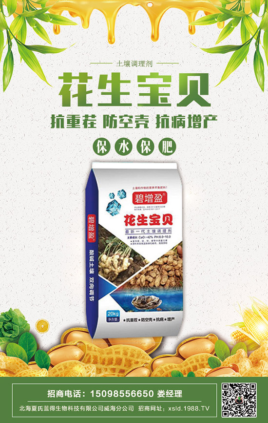     2020���������@�r�����ݱP�������@�r�����