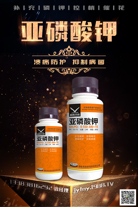 2020�N�ڷ���ٍ�X�᣿�ڷ��ѵķNֲ��������Щ��