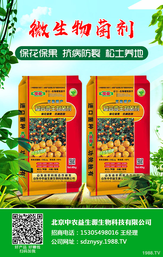     盆栽小香蔥如何種植？盆栽小香蔥種植時(shí)間及種植方法！