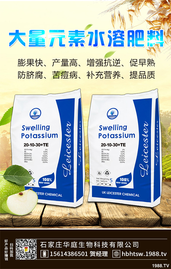 露地辣椒該如何施肥?露地辣椒高產(chǎn)施肥技術(shù)