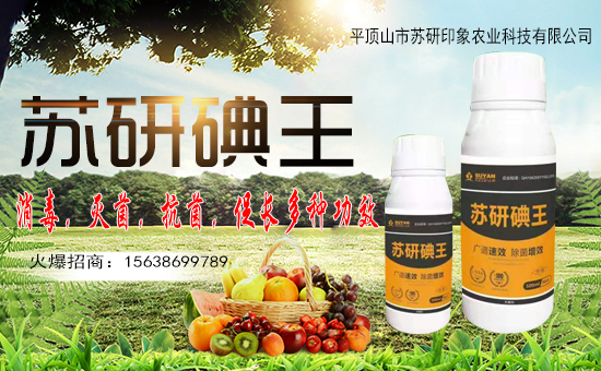 【平頂山市蘇研印象】祝大家在新的一年里身體健康!心想事成!萬(wàn)事如意!