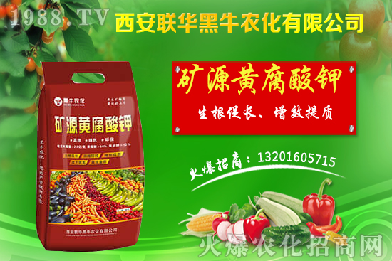 �＾����ԓ��ι������＾������푪(y��ng)������Ĵ��`�^(q��)��