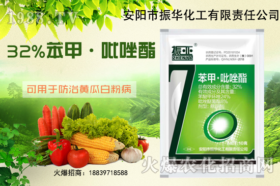 大棚黃瓜白粉病什么藥有用？發(fā)病條件如何避免？