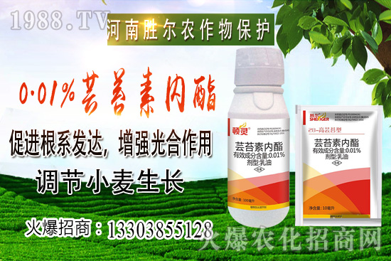 小麥價(jià)格上漲節(jié)奏逐漸興起,后市可期!10月22日小麥價(jià)格行情