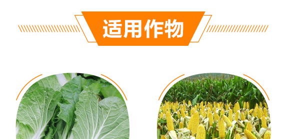 �����ЙC(j��)��Ԫ��-��ʩ��_09