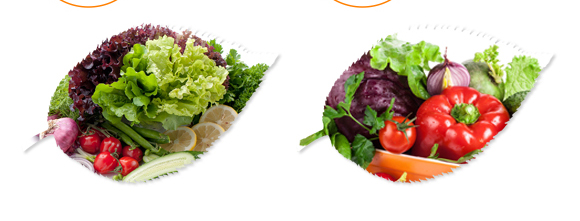 �����ЙC(j��)��Ԫ��-��ʩ��_08