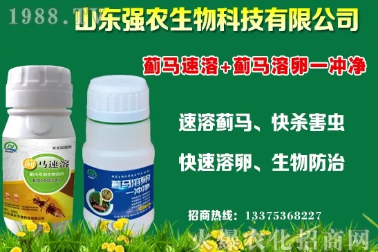 �ﶬ11�·Nֲʲô�߲˱��^���m���߲˷Nֲע�����(xi��ng)��