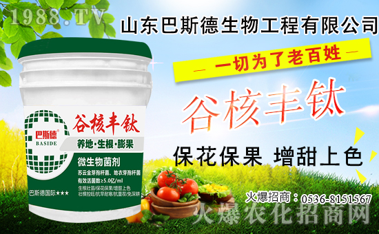 ��(f��)�Ϸ�Ҫ�q�r(ji��)����2020-10-28��(f��)�Ϸʃr(ji��)���������