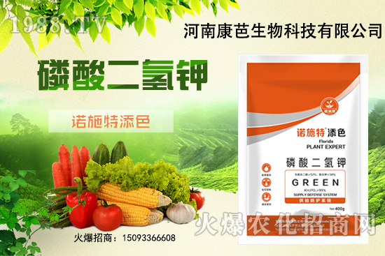 �������￹�����������⛼����������������8����