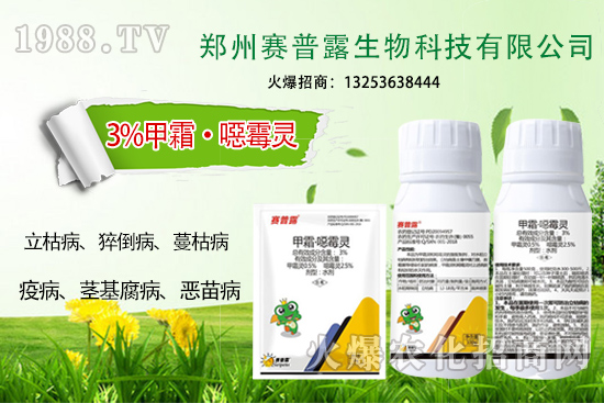 ��ʲô˪ù����⧵����װl(f��)���y���Σ�