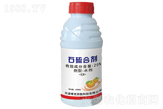 2020��11��11��ʯ��τ��������r��