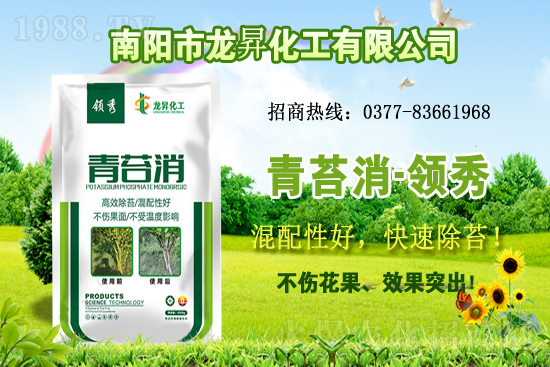 大豆供不應求,價格持續(xù)上漲!各地大豆價格行情