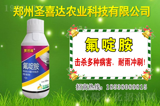 �������N��������Щ���������Ժ�ʲô�����׷N��