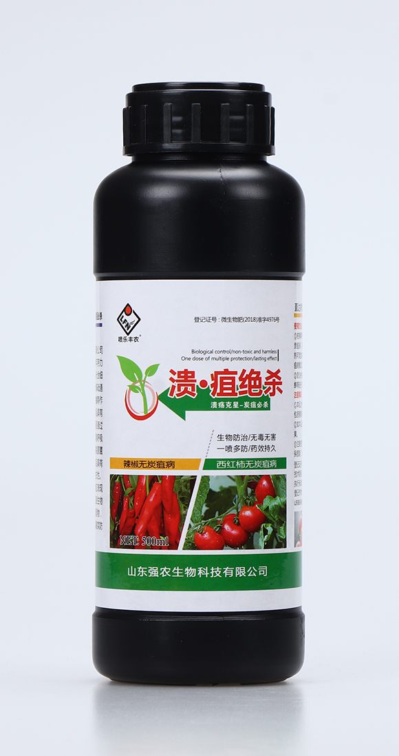 �����ҽ^��1