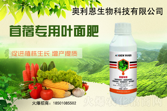 ��ޣԽ������ôʩ����ޣ��ʩ�ʹ���