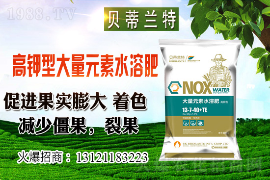 2020年12月小麥價(jià)格預(yù)測（附今日小麥價(jià)格介紹）
