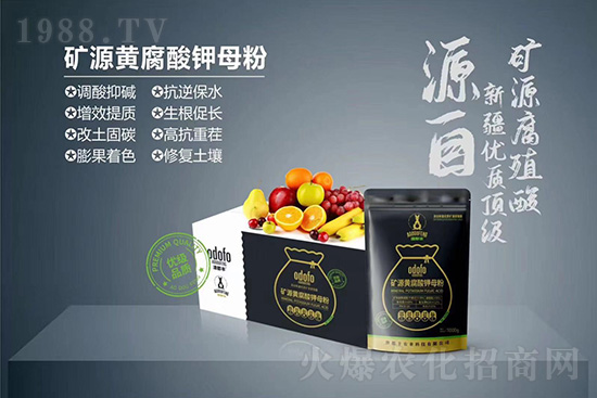 ʲô���߲��亦�����������￹��������