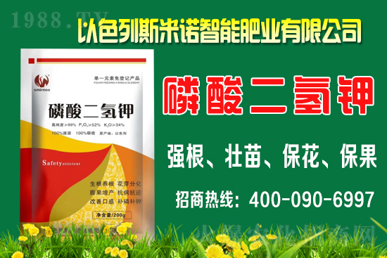 ����ʲô�r(sh��)�gʩ�������ٵ�ʩ�ʕr(sh��)�g��������B��