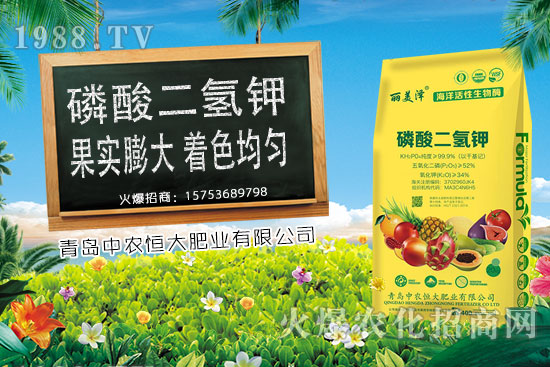 ����С���r(ji��)���ϝq�������Ƿ��(hu��)���m(x��)�ϝq��