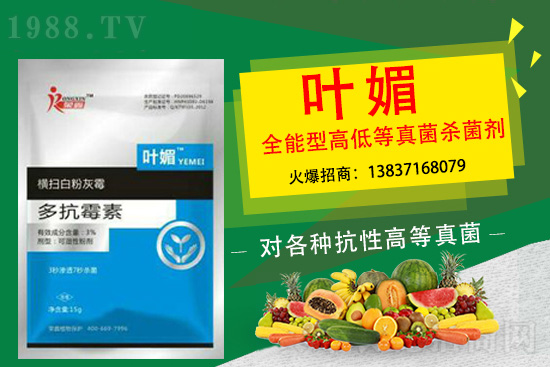 辣椒病害嚴(yán)重太難纏，如何輕松解決？