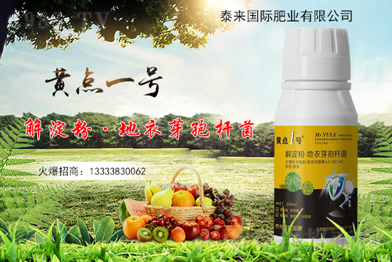 黃瓜葉片起“小黃點”是什么病？防治方案有哪些？