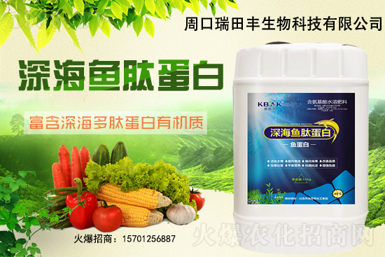 魚蛋白肥料是什么？發(fā)展前景如何？魚蛋白對作物的好處