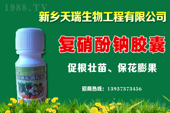 ���[һ�����ܮa(ch��n)���ٽ������[�r(ji��)�����ϝq��