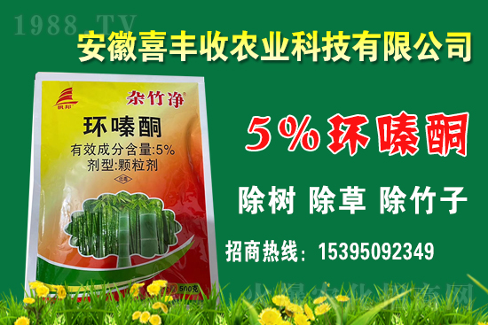 1    �h(hu��n)�ͪ�����ÙC(j��)������Щ��ԓ��Ώ�(f��)�䣿�h(hu��n)�ͪ�m�����Ｐ��(y��ng)�÷�����