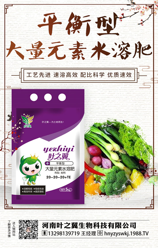 ĵ��ʲô�r���_����������Lĵ���_���r�g��