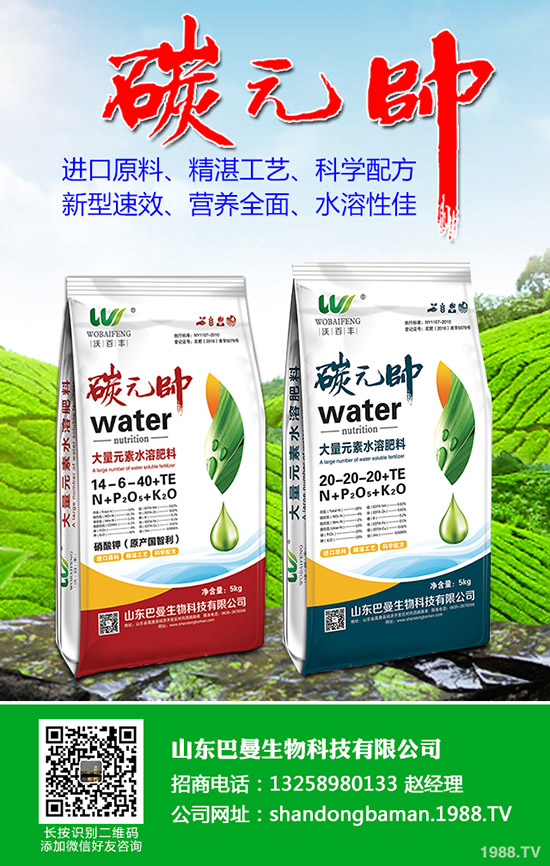 復合肥價格依舊上漲!最新復合肥價格走勢預測2020-3-16