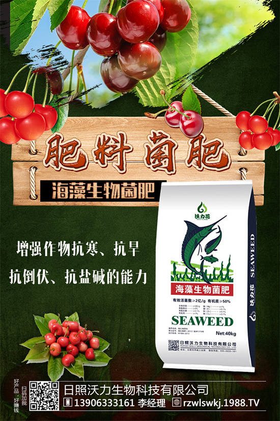 春玉米該如何種植?早春玉米高產(chǎn)種植技術(shù)要點(diǎn)