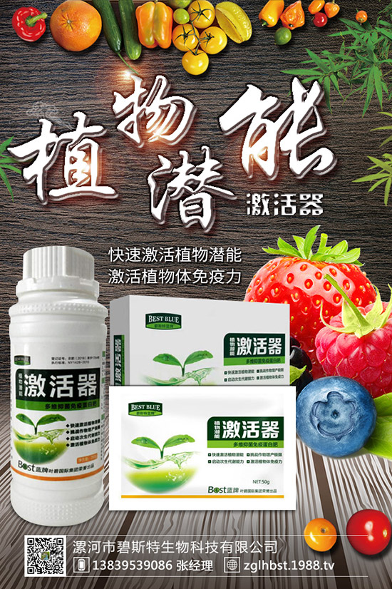 ������ô�N�ɻ��ʸ�������ʲô�r(sh��)��Nֲ���ã�