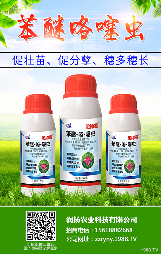     ���x���r(n��ng)ˎ�r��