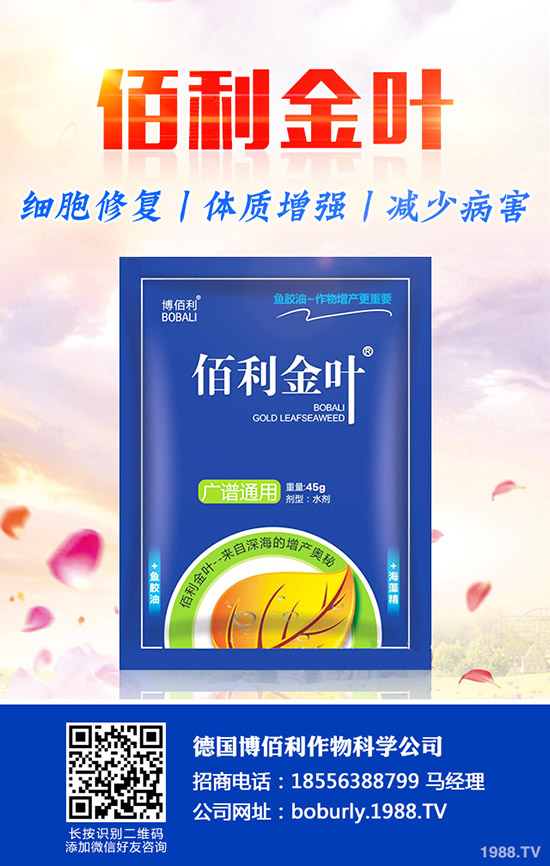 ����(sh��)����A(y��)���ʺ����l(f��)���ʺ�������a(b��)����