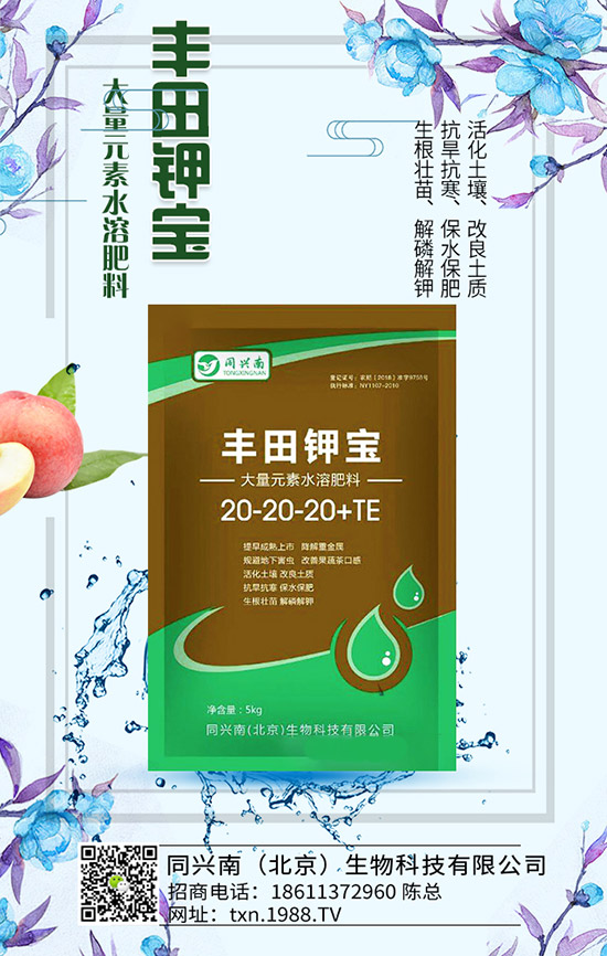 �㶹ʲô�r(sh��)��N���㶹�Nֲ�r(sh��)�g���NֲҪ�c(di��n)��