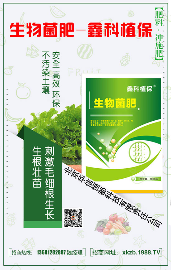 春節(jié)白菜施肥要點,提升白菜產量
