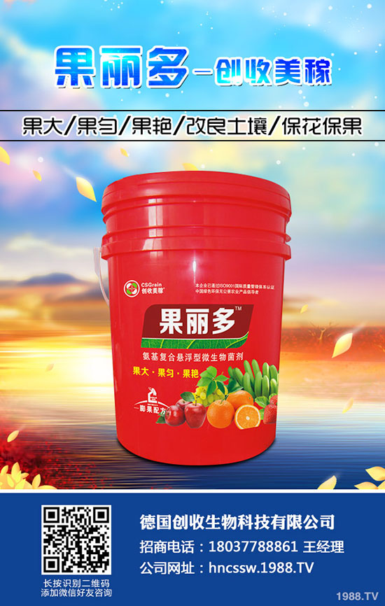 ������������ô��������������ʲôԭ��������η�����