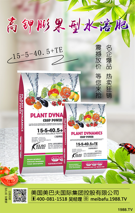 �ϹϷ��Ďׂ�(g��)���L�A�����Ϲό�(du��)�������I�B(y��ng)Ҫ��