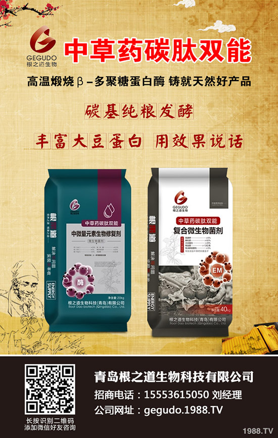 2020年第一季度鉀肥市場價格行情走勢綜合分析!