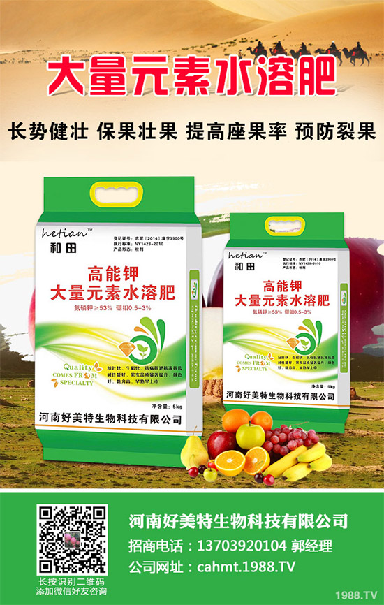 ��(x��)���[��ηNֲ���ܸ߮a(ch��n)����Ҫע��ʲô���@�傀С���ɷ���һ����