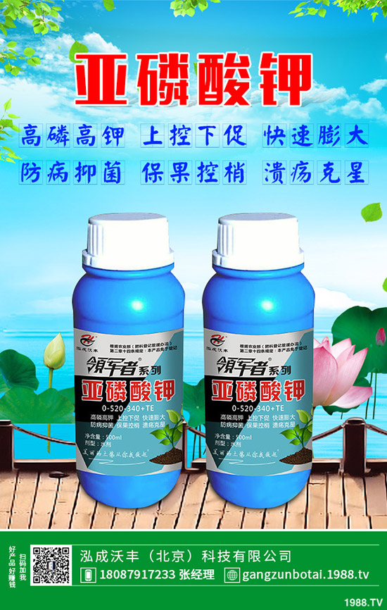 �S�Ϗ�����ʲôԭ�������S�Ϗ��ϸ���Ҫ�E��