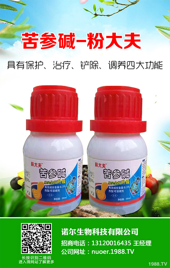 �{�����ӵă�(y��u)�������x���δ��ֲ���Ј��д�������