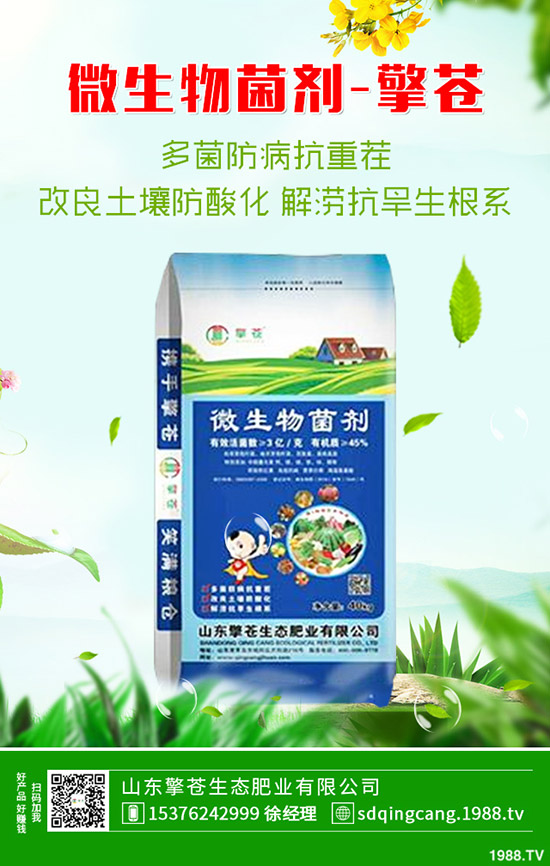 2020年4月3日復(fù)合肥市場(chǎng)行情保持穩(wěn)定態(tài)勢(shì)!最新后市預(yù)測(cè)!